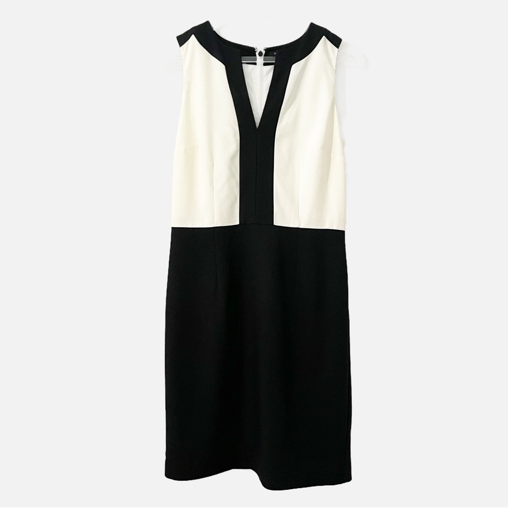 Banana Republic Form Fitted Sheath Dress Size 6 Navy and White Color Block